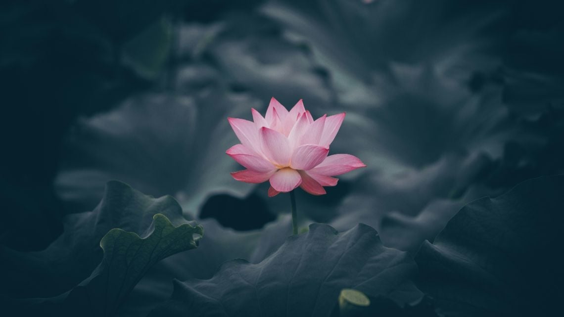 Malware destrutivo Lotus atinge setor energético