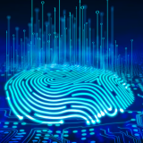 Identidades digitais tornam-se principal alvo dos ciberataques