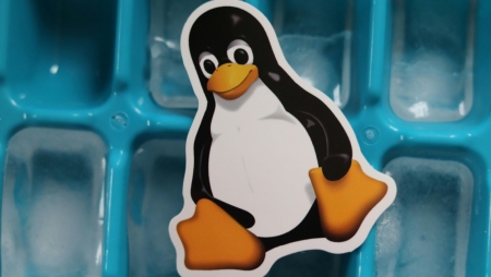 CISA alerta para vulnerabilidades Linux exploradas ativamente