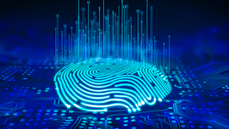 Identidades digitais tornam-se principal alvo dos ciberataques