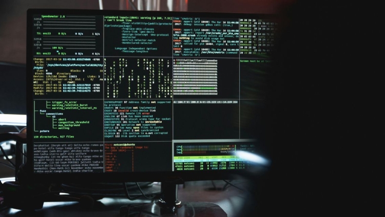 Ciberameaças potenciadas por IA leva a aumento na procura por especialistas